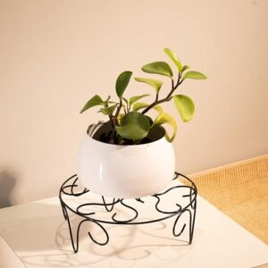 TrustBasket Venice Plant Stand | 15 Inch Black Plant Stand for Balcony & Indoor Living Room | Plant Stands for Outdoor Balcony & Indoor Living Room | Elegant Flower Pot Stand | Rust-Free, Lightweight, 40 Kg Load