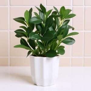 fancymart Plastic Artificial Rubber Plant With Pot Perfect For Home Decor And Office Decor, Ficus, Green