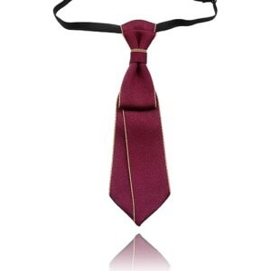 GZRC-YDDK Tie for Women, Burgundy Tie for Women,Formal Tie Fine Bow Tie for Business, Office, Wedding, Party, Formal Events, 22cm x 6cm