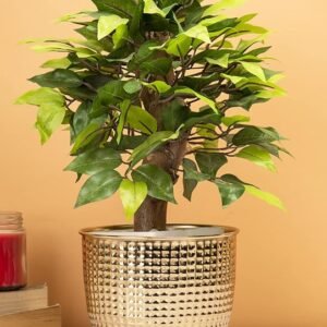 Market99 Golden Hammered Metal Vase (Set of 1) | Decorative Item for Home, Office, Cabinet Restaurant, and Reception Areas | Strong and Sturdy Centrepiece for Table & Study Desk