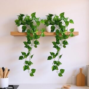 fancymart Plastic Pack Of 2 Artificial Vine Plants Falling With Small Size Pot-Natural Touch&Feel Home Décor-Perfect For Home And Office Decoration-Size 45 Cm | Artificial Plant