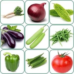 Aero Seeds 15 variety vegetable seeds combo pack with instruction manual.