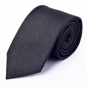 TADWILL Classic Necktie for Men, Business Formal Wear
