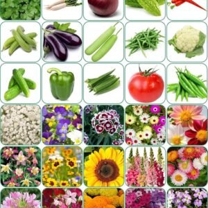 Aero Seeds 30 variety(15 flower and 15 vegetable) seeds combo pack with instruction manual.