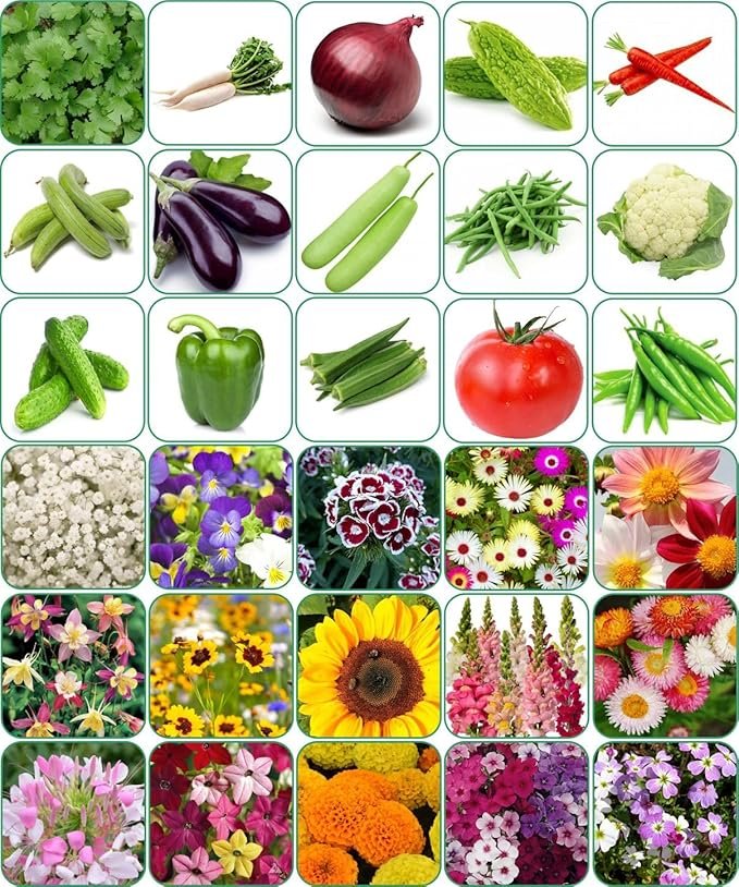 Aero Seeds 30 variety(15 flower and 15 vegetable) seeds combo pack with instruction manual.